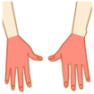 両手の甲と指